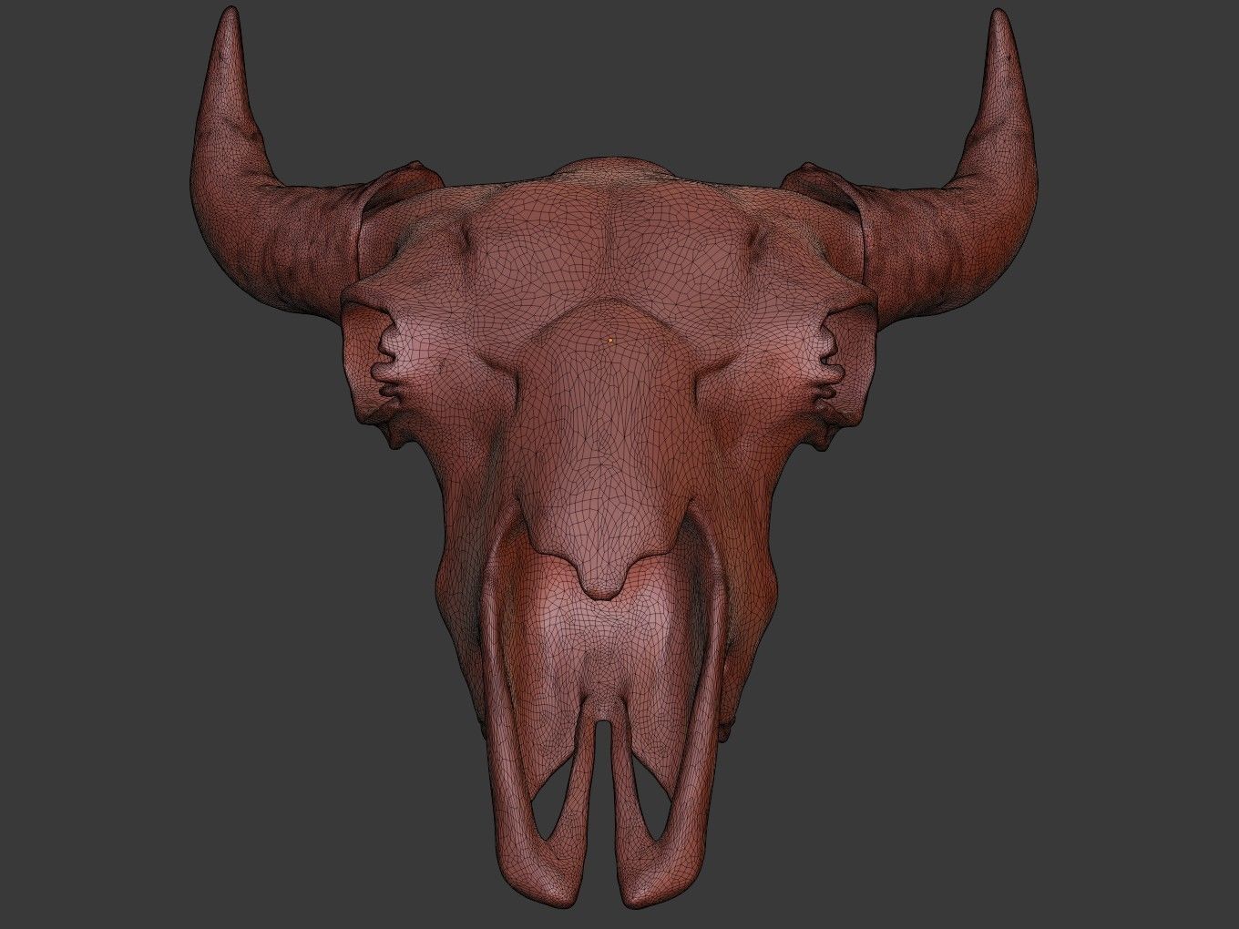 Cranium Charm Bison Bronze 3D print model_11