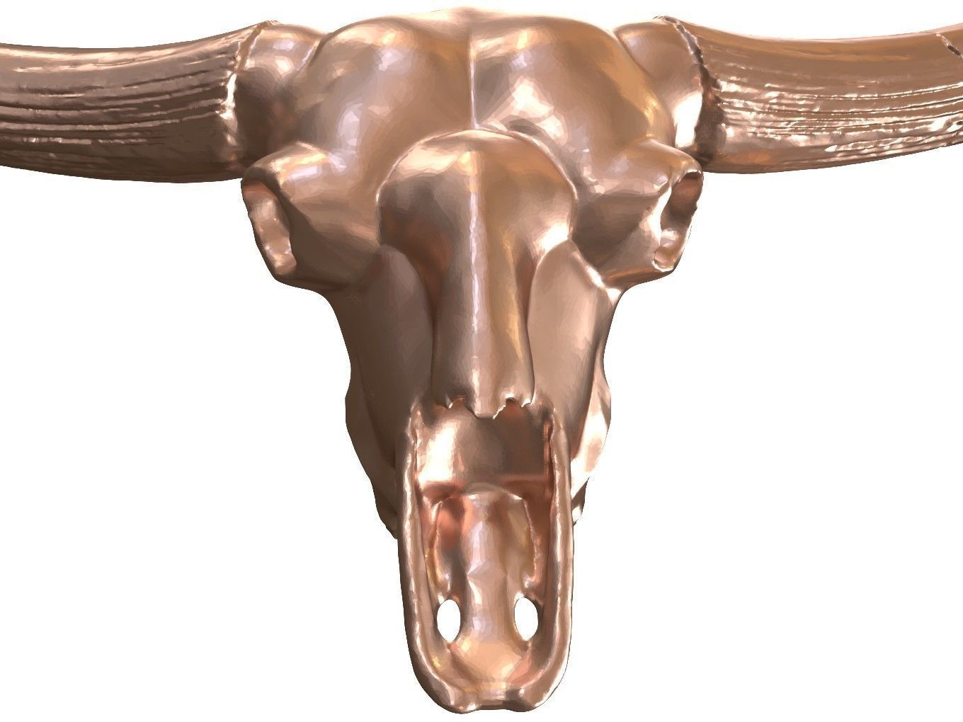 Cranium Charm Bison Latifrons Bronze 3D print model_8