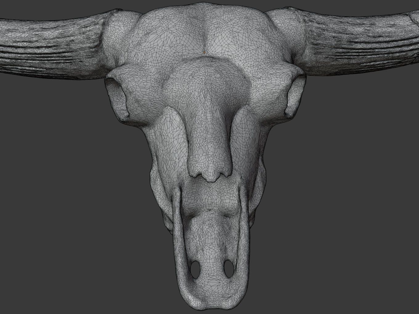 Cranium Charm Bison Latifrons Bronze 3D print model_10