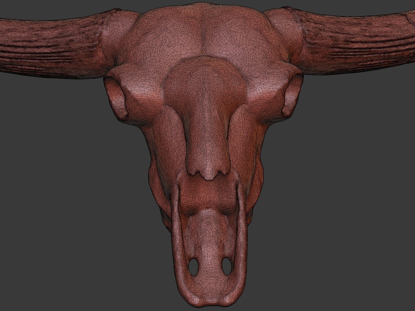 Cranium Charm Bison Latifrons Bronze 3D print model_11