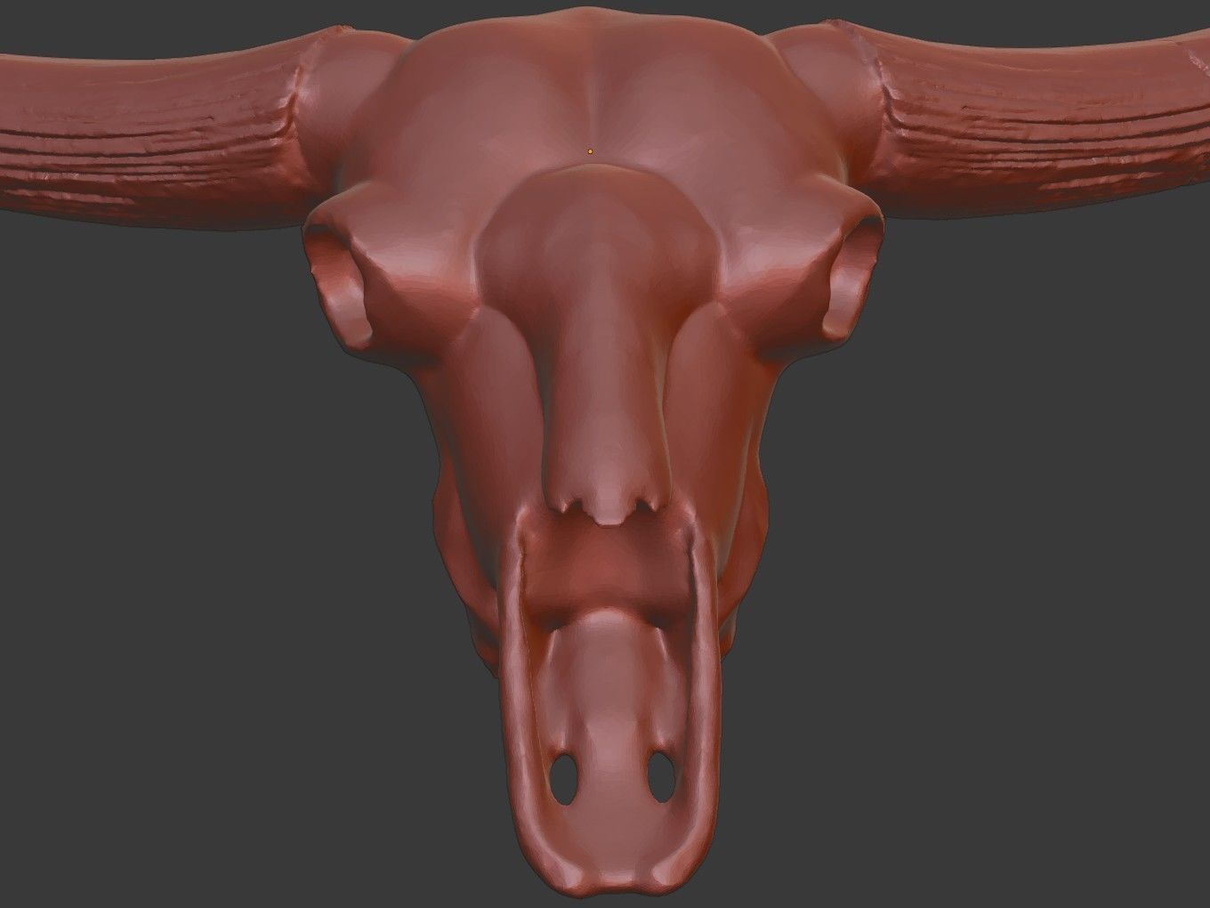 Cranium Charm Bison Latifrons Bronze 3D print model_12