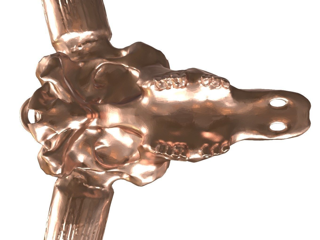 Cranium Charm Bison Latifrons Bronze 3D print model_6