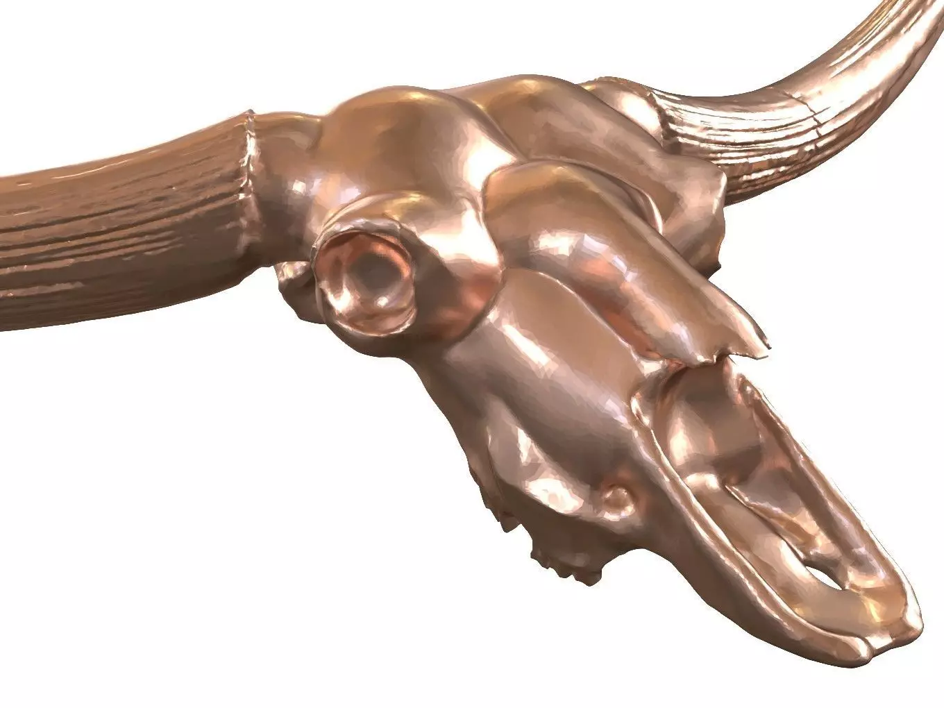 Cranium Charm Bison Latifrons Bronze 3D print model_0