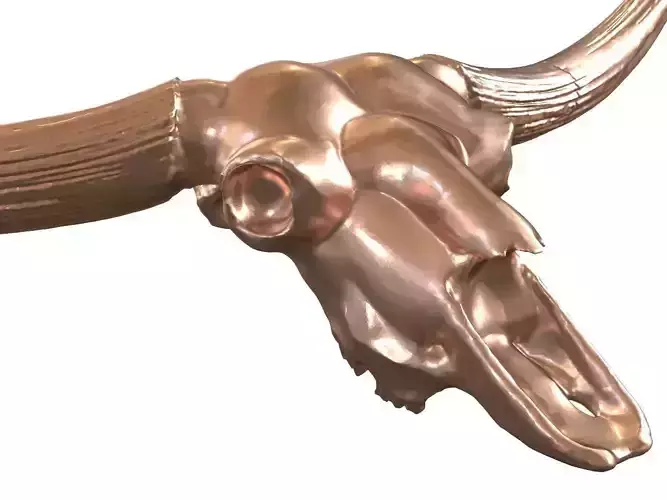 Cranium Charm Bison Latifrons Bronze 3D print model