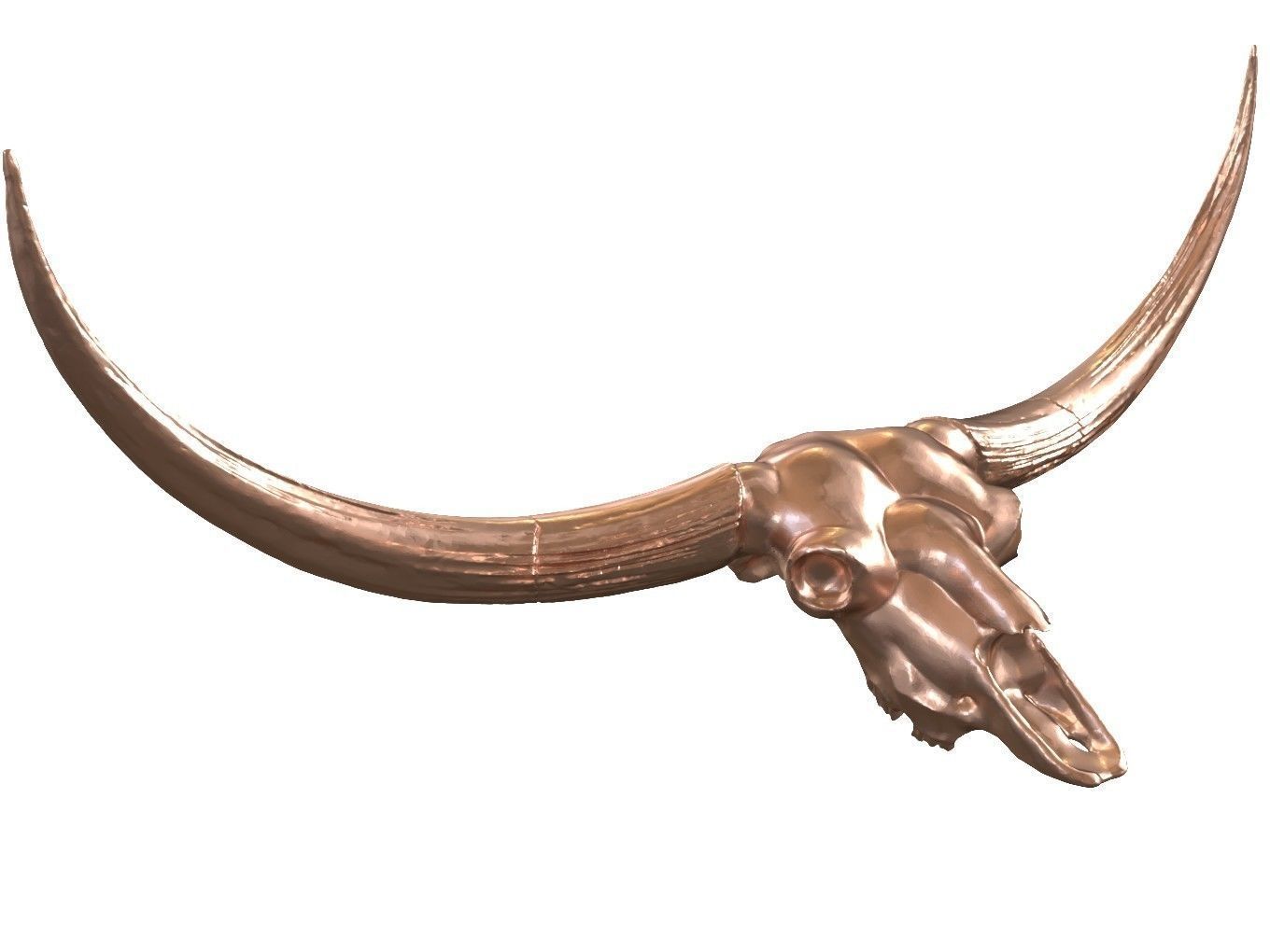 Cranium Charm Bison Latifrons Bronze 3D print model_1