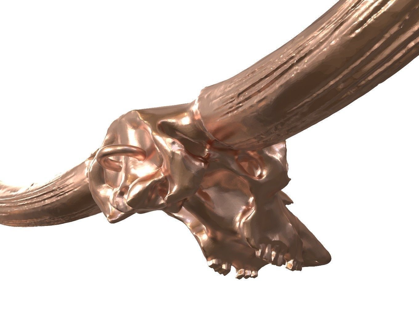 Cranium Charm Bison Latifrons Bronze 3D print model_5