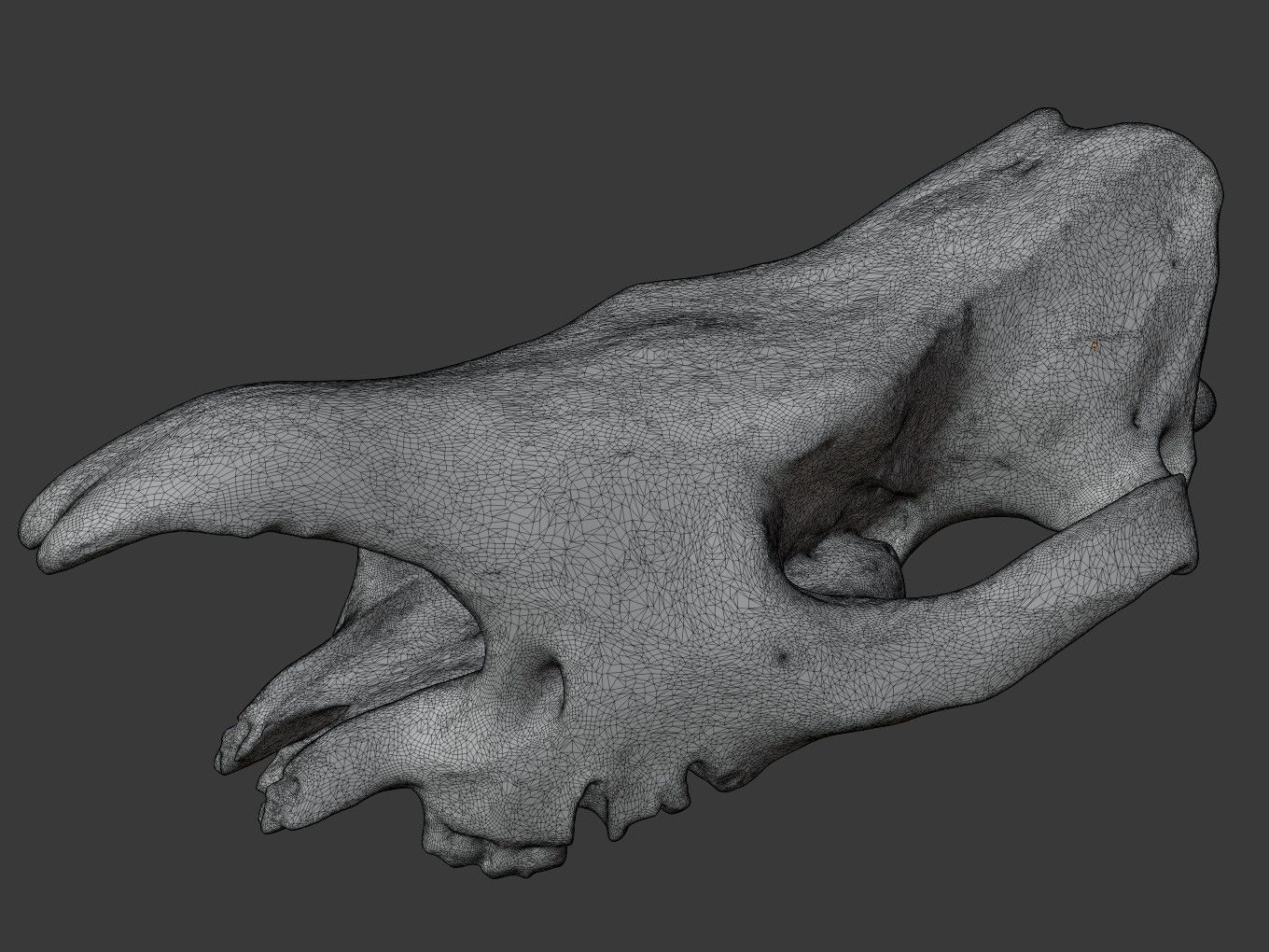 Cranium Charm Rhino Silver 3D print model_11