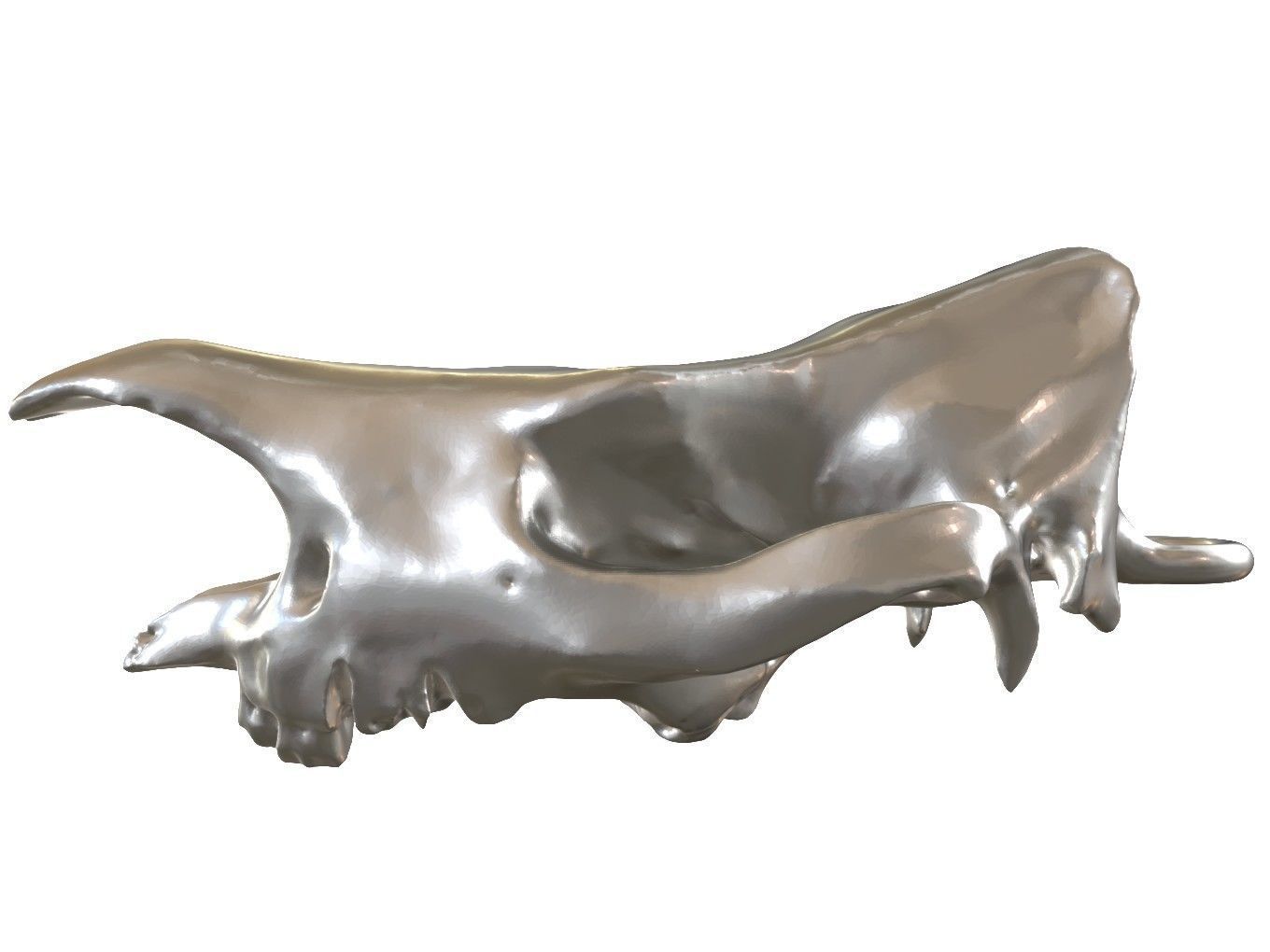 Cranium Charm Rhino Silver 3D print model_2