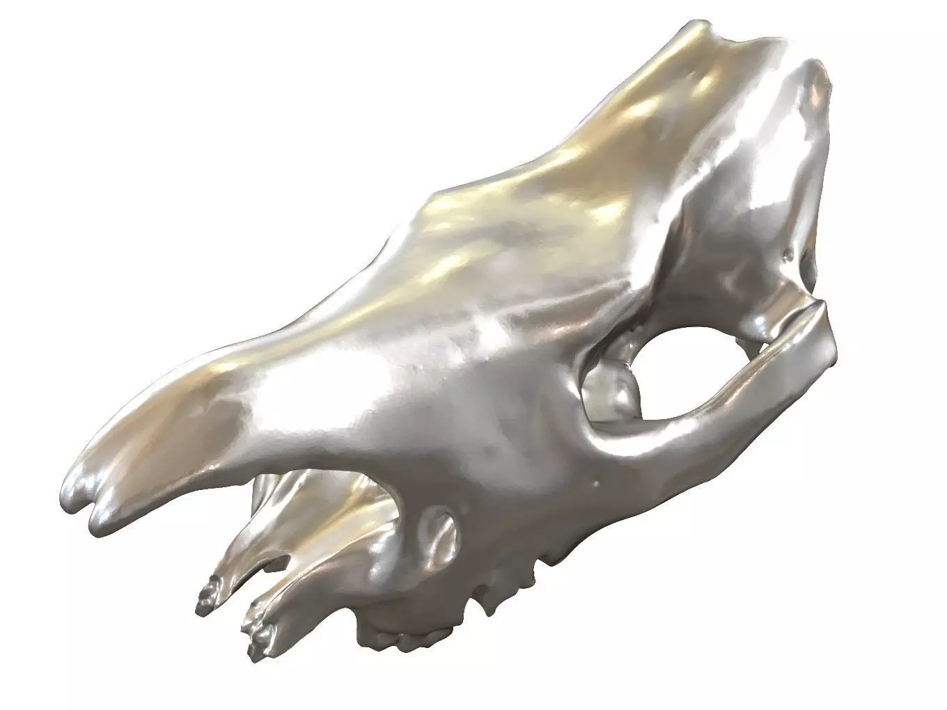Cranium Charm Rhino Silver 3D print model_0