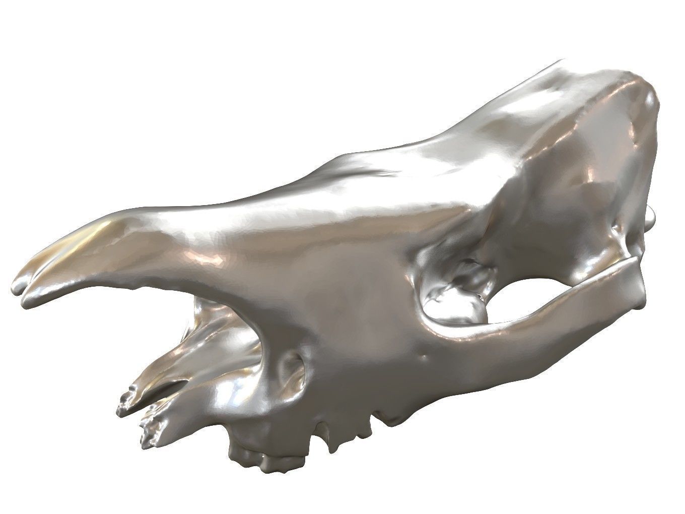Cranium Charm Rhino Silver 3D print model_9