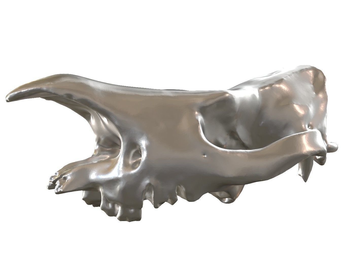 Cranium Charm Rhino Silver 3D print model_1