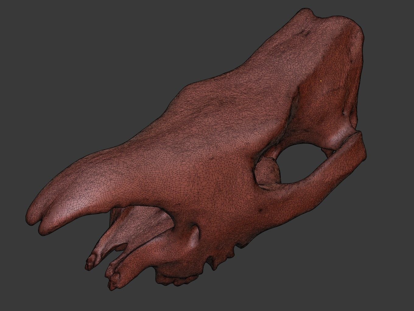 Cranium Charm Rhino Silver 3D print model_13