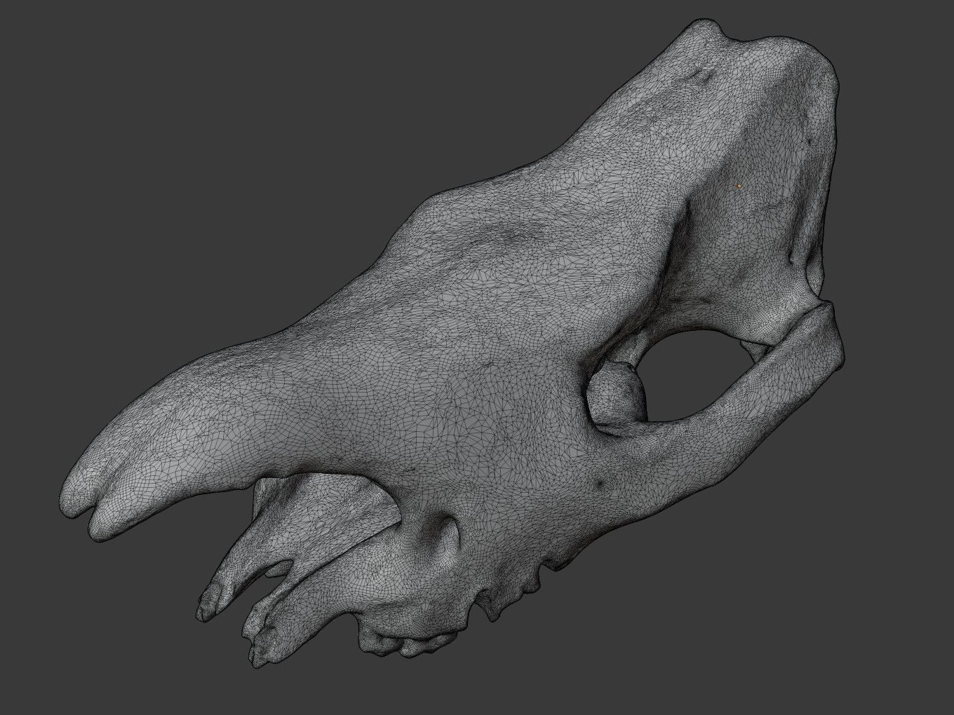 Cranium Charm Rhino Silver 3D print model_12