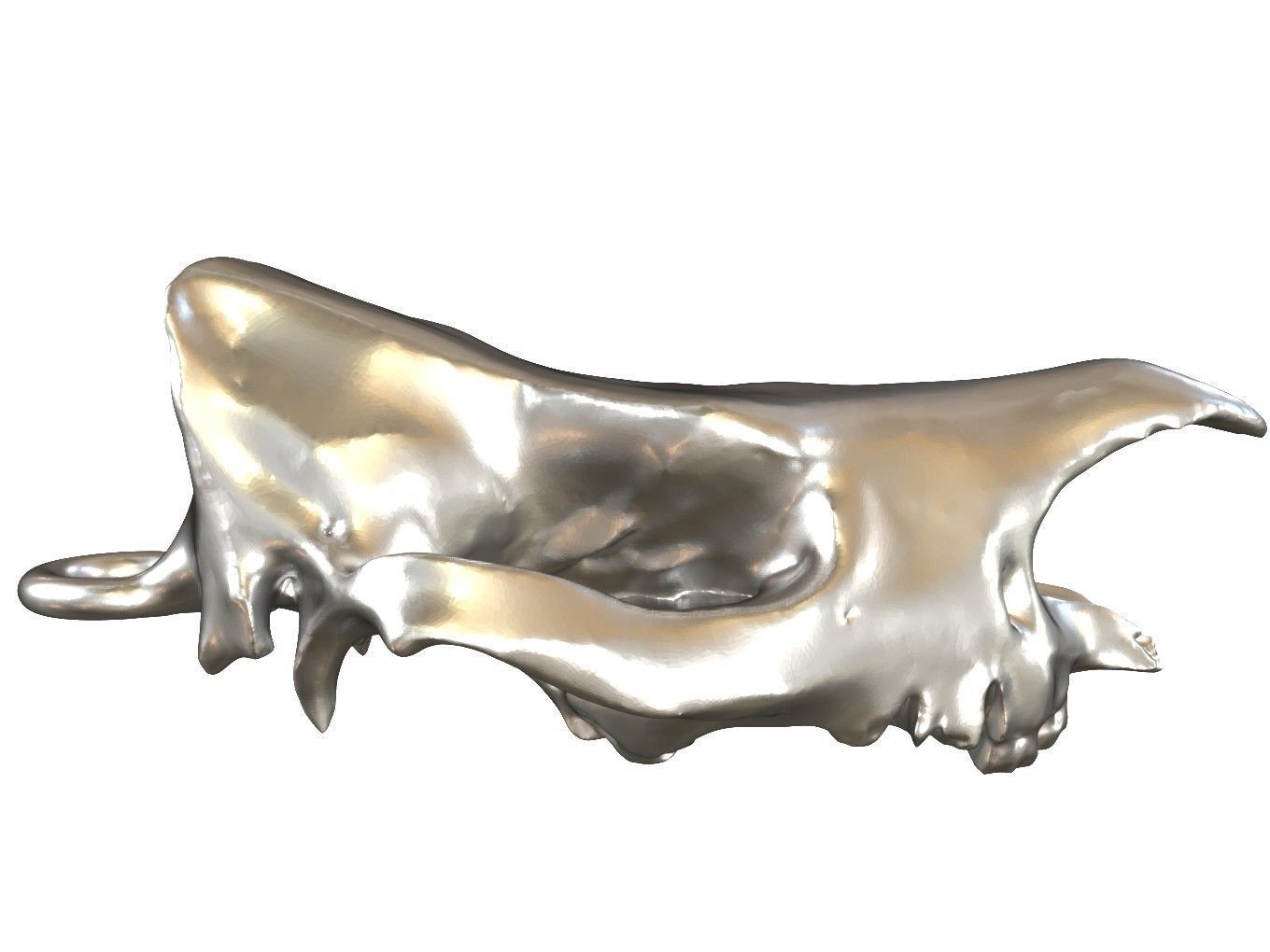Cranium Charm Rhino Silver 3D print model_6