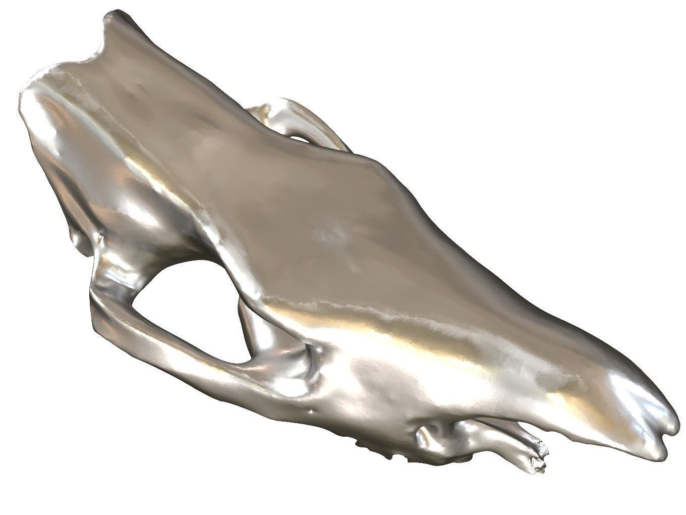 Cranium Charm Rhino Silver 3D print model_7