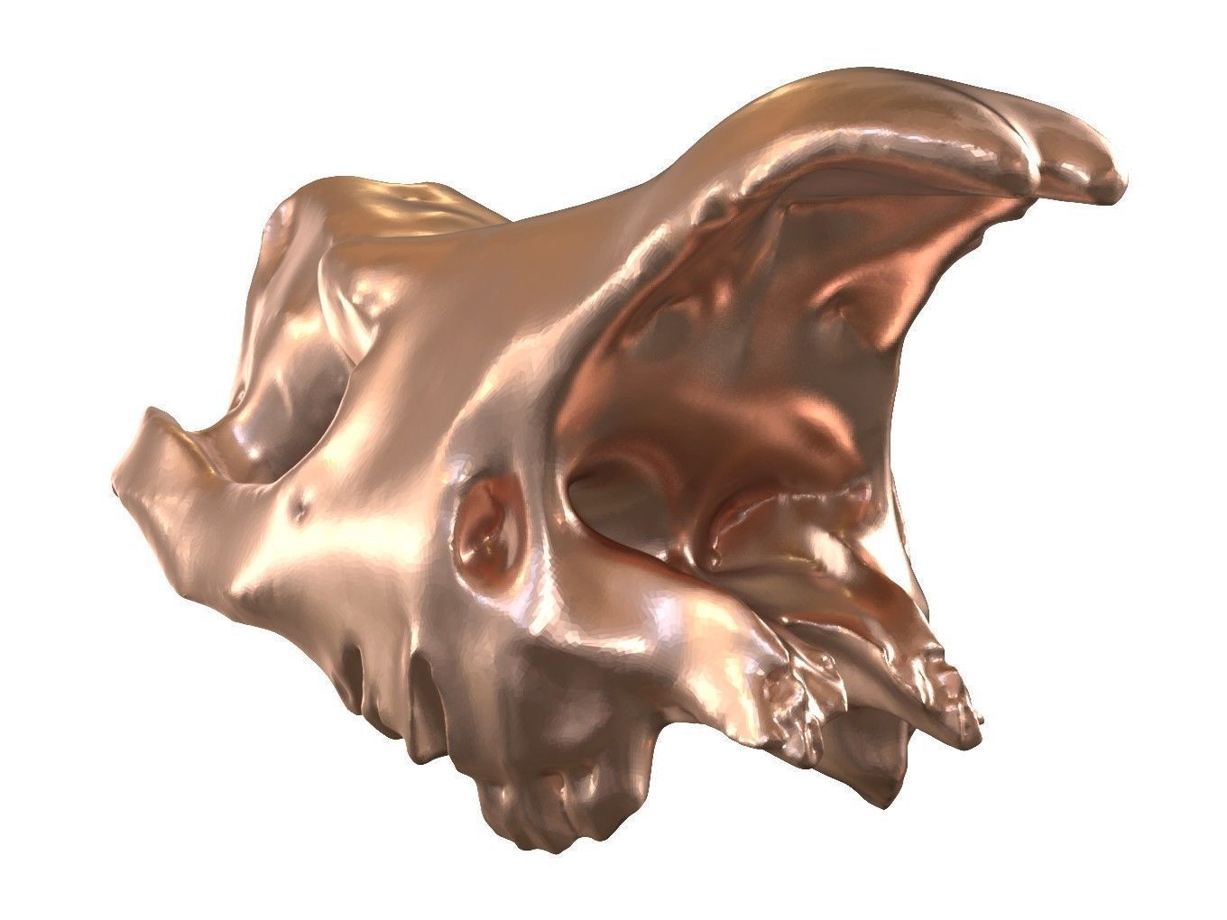 Cranium Charm Rhino Bronze 3D print model_7