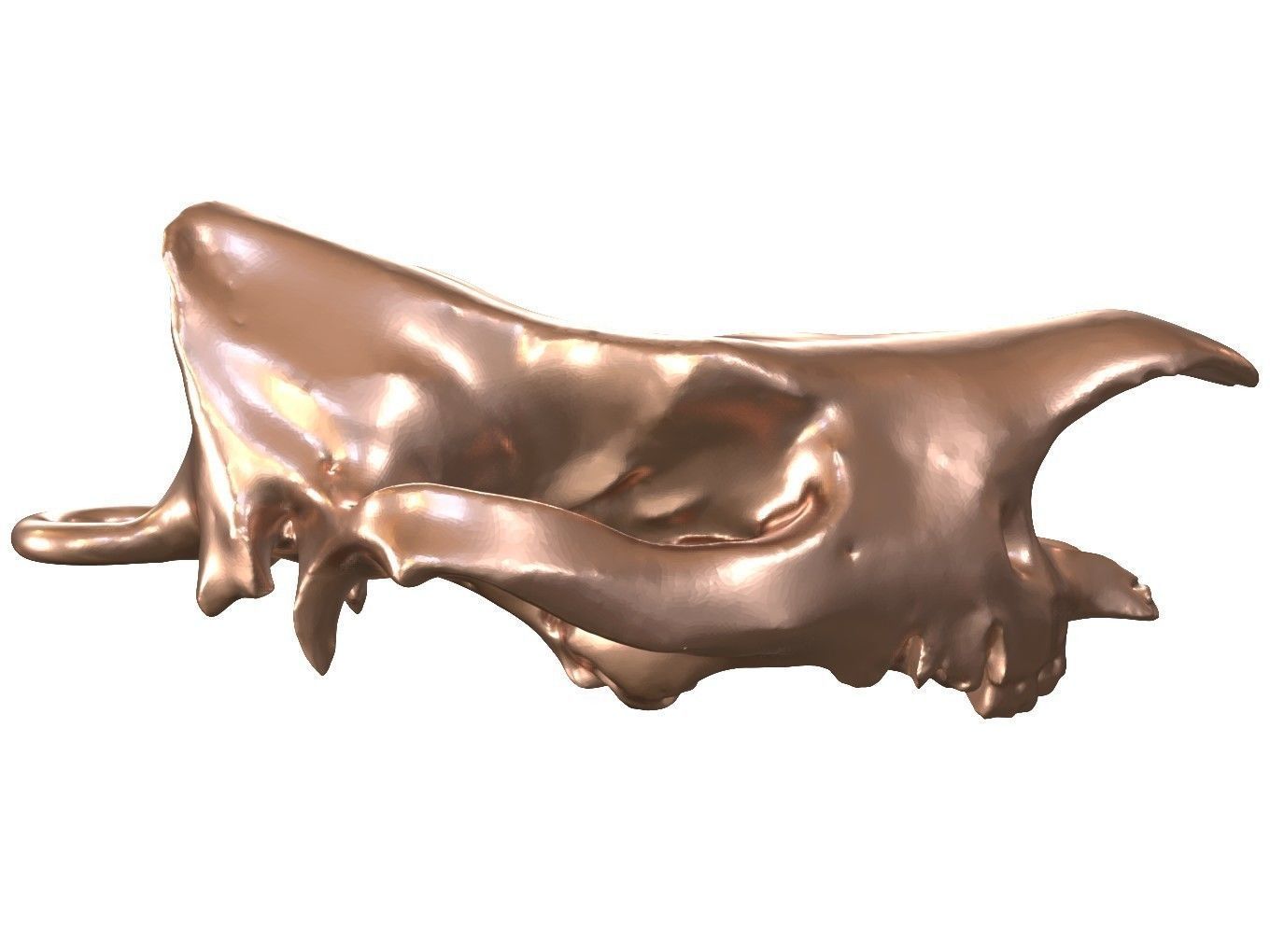 Cranium Charm Rhino Bronze 3D print model_1