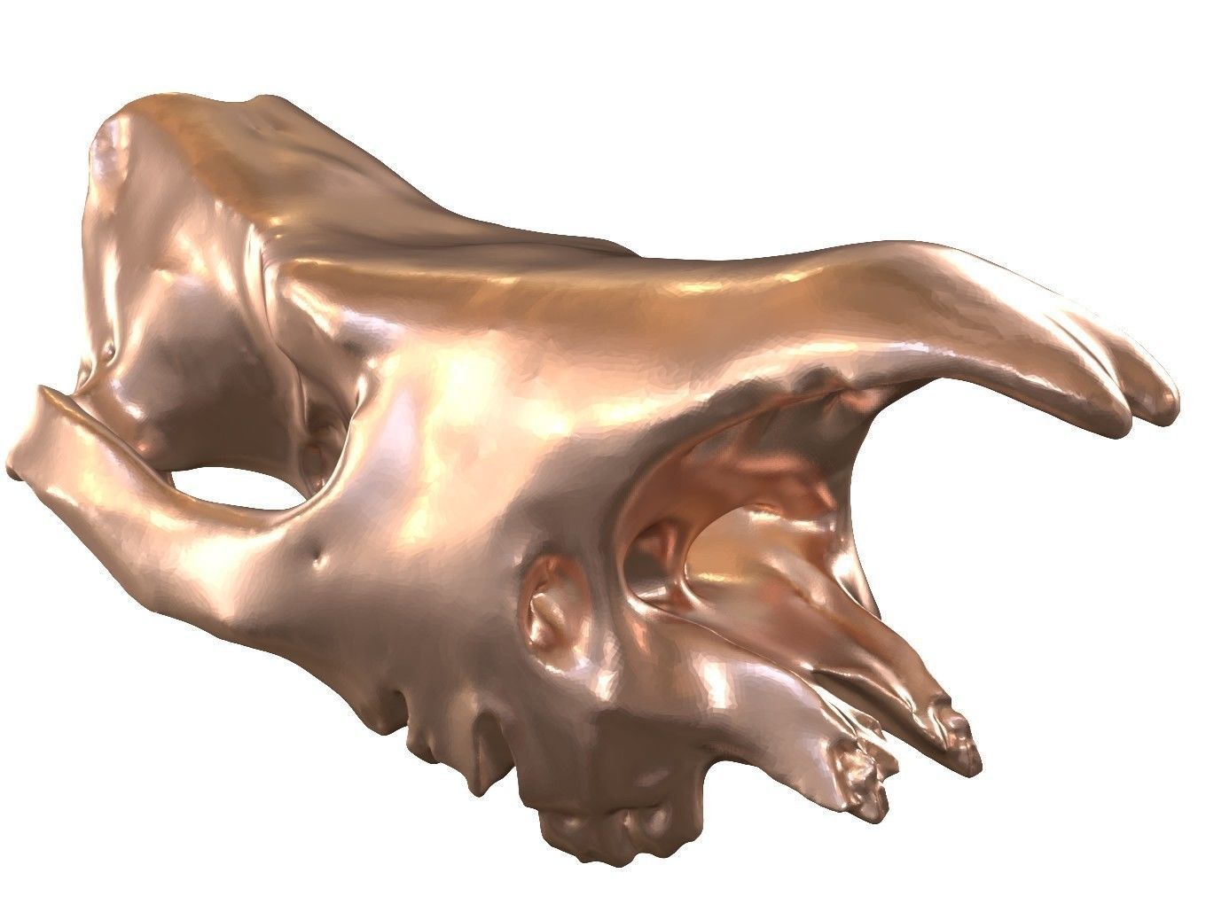 Cranium Charm Rhino Bronze 3D print model_8