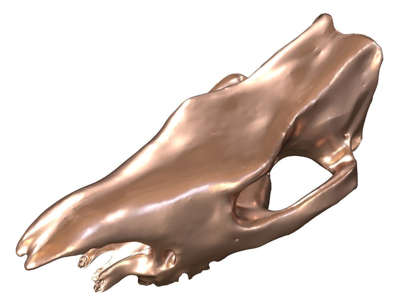 Cranium Charm Rhino Bronze 3D print model_6