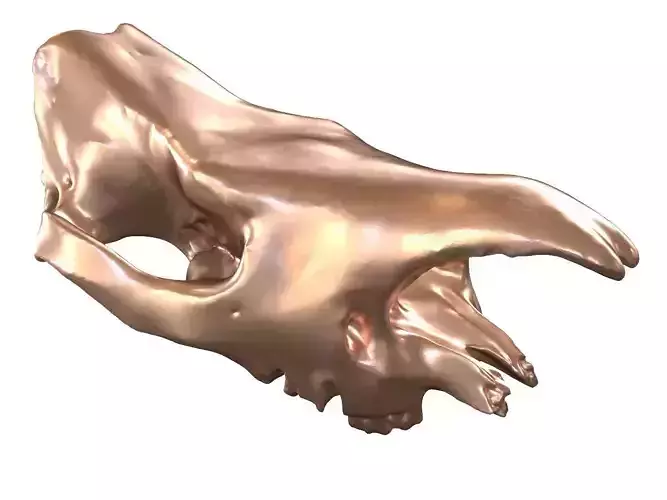Cranium Charm Rhino Bronze