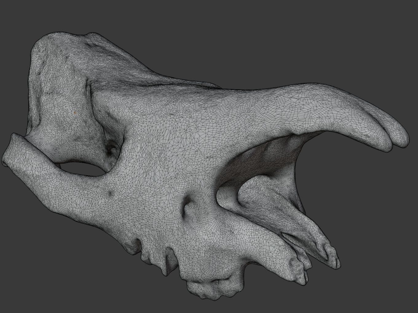 Cranium Charm Rhino Bronze 3D print model_10