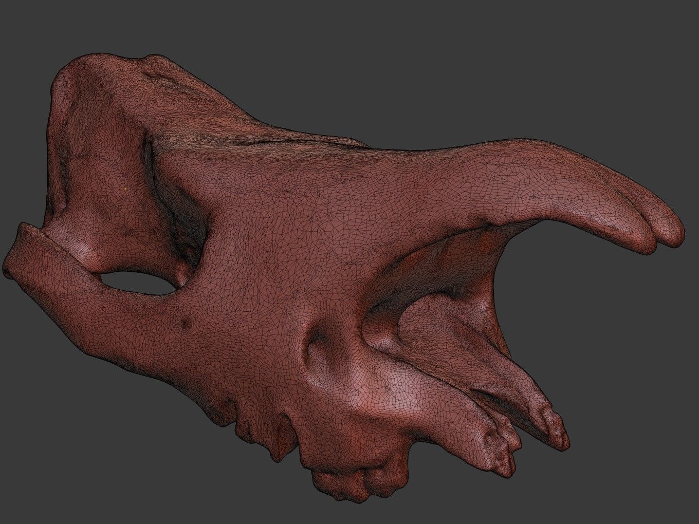 Cranium Charm Rhino Bronze 3D print model_11