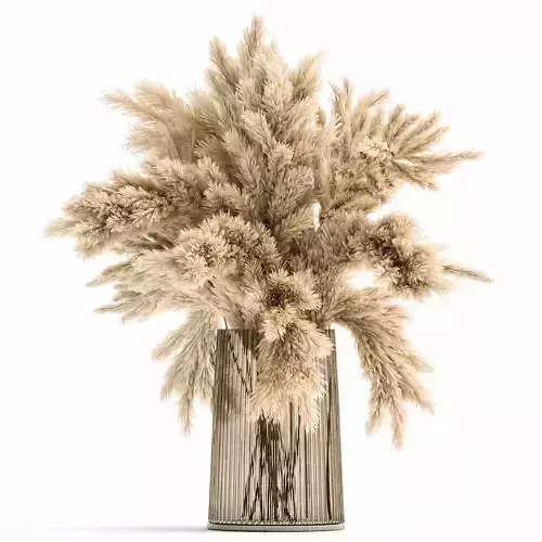 Bouquet of dried reeds in a Vase 122