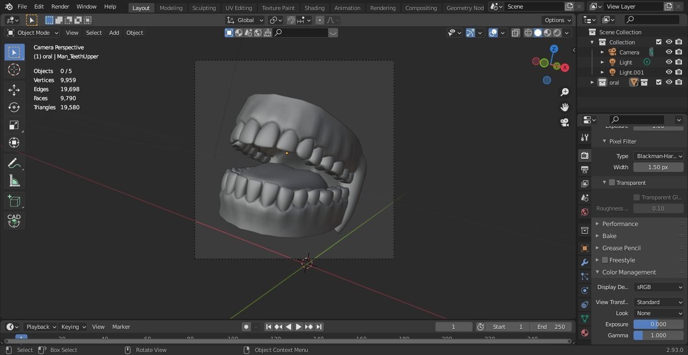 Oral dental teeth 3D model_7