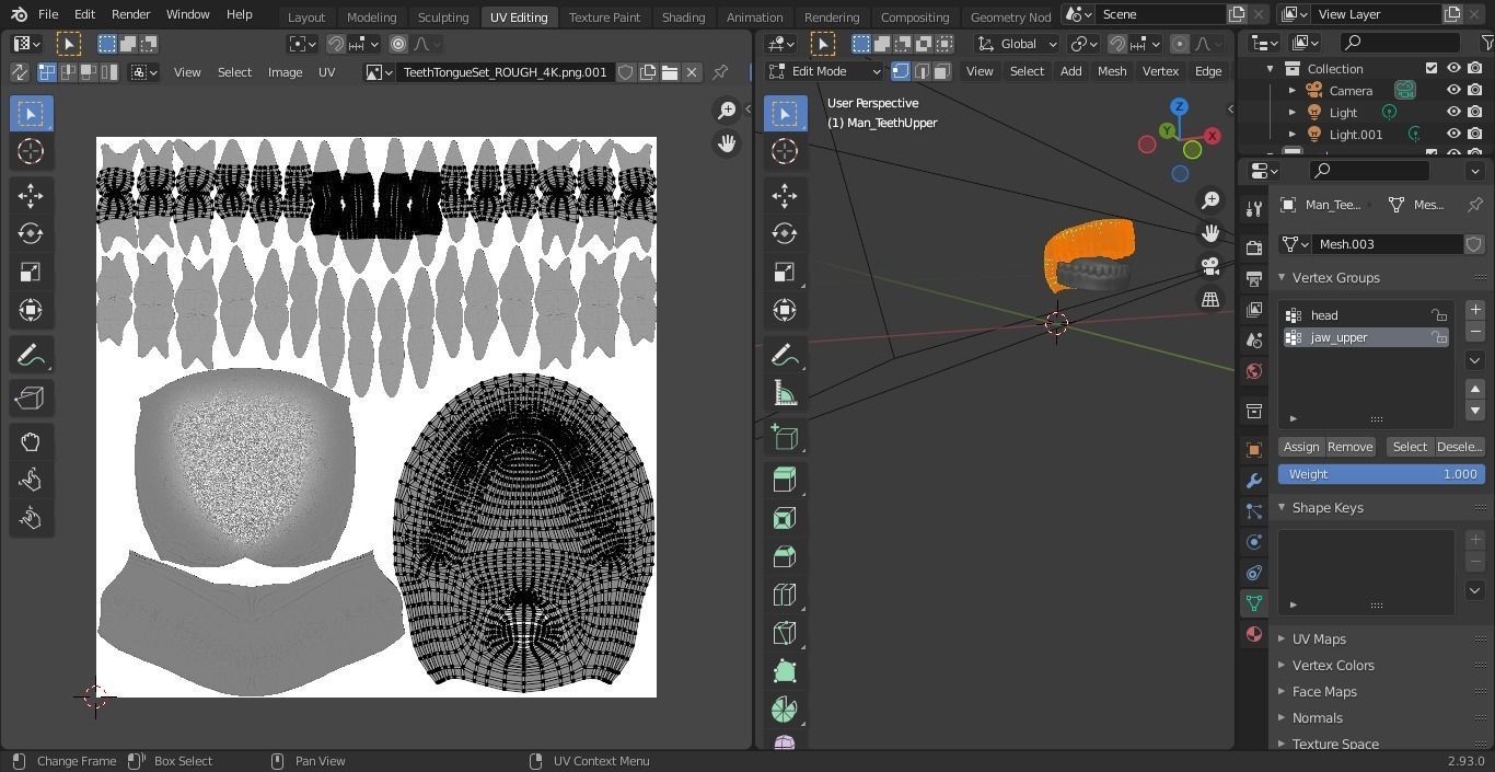 Oral dental teeth 3D model_5