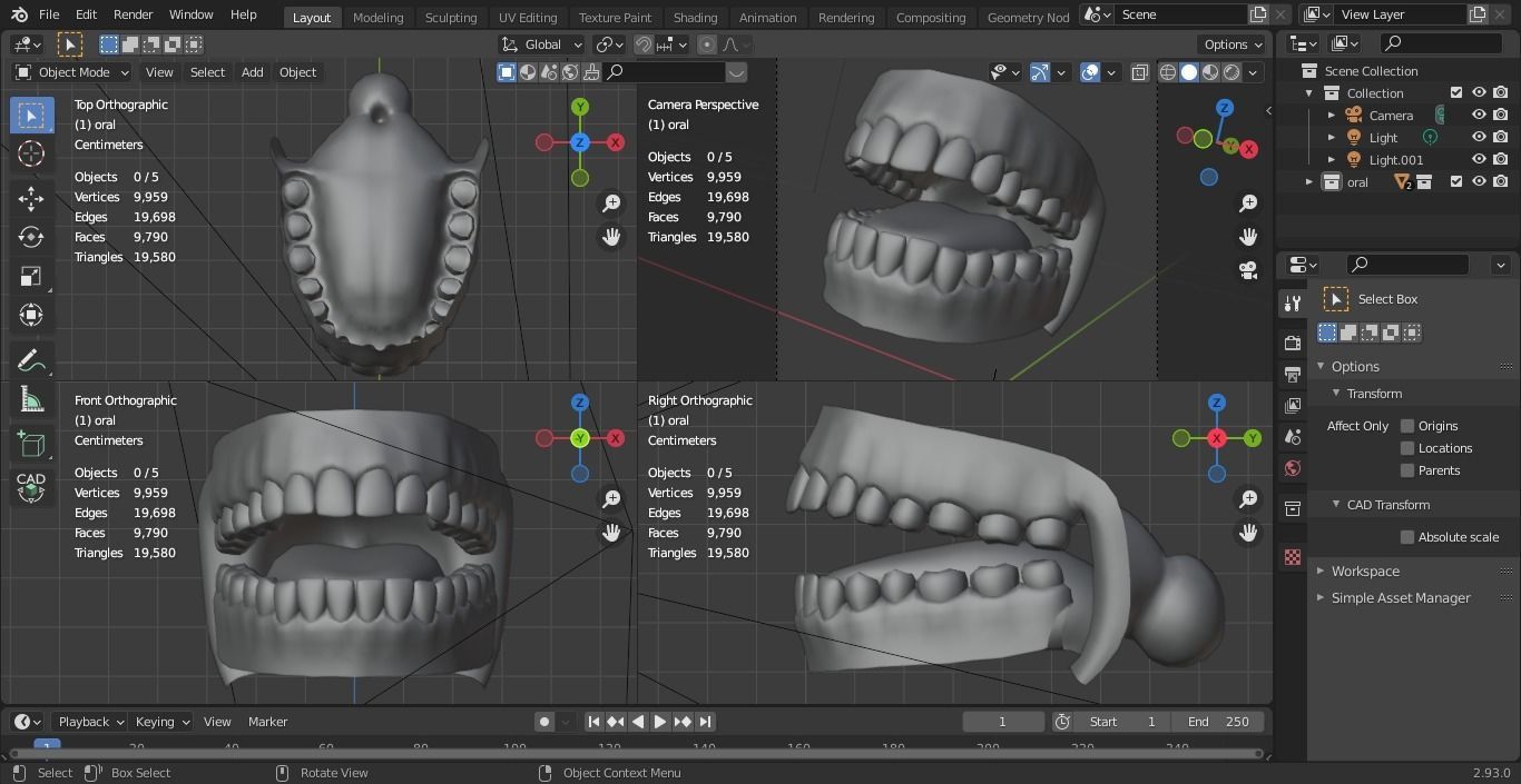 Oral dental teeth 3D model_4