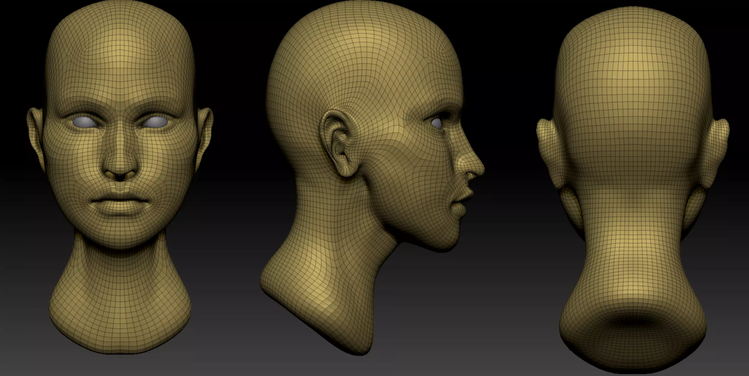 Female Head  Low-poly 3D model_0