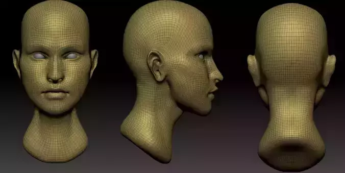 Female Head  Low-poly 3D model