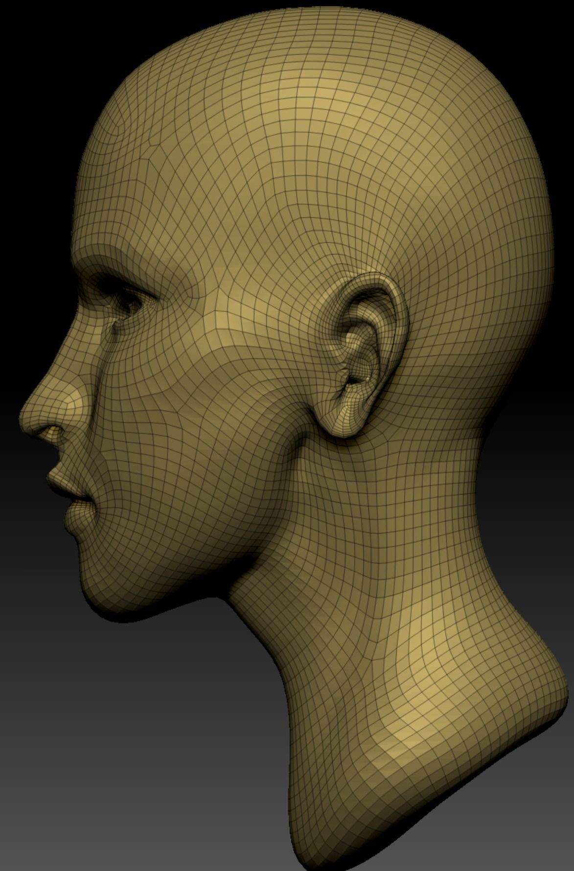 Female Head  Low-poly 3D model_5