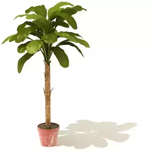 Green Tropic Potted Plant