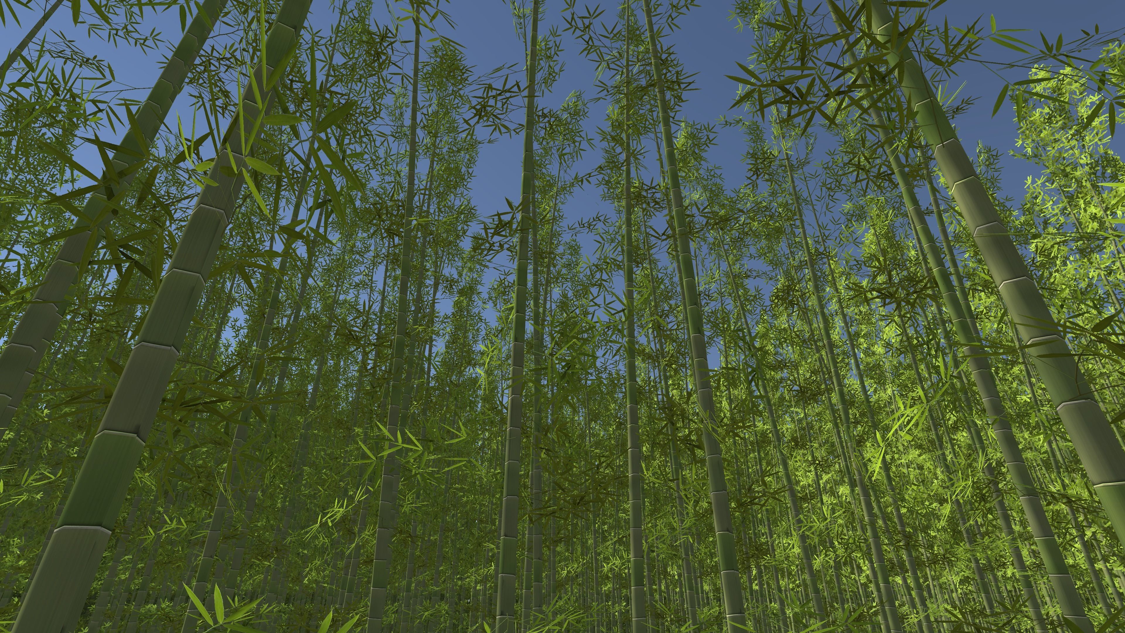 Bamboo Groups Low-poly 3D model_7