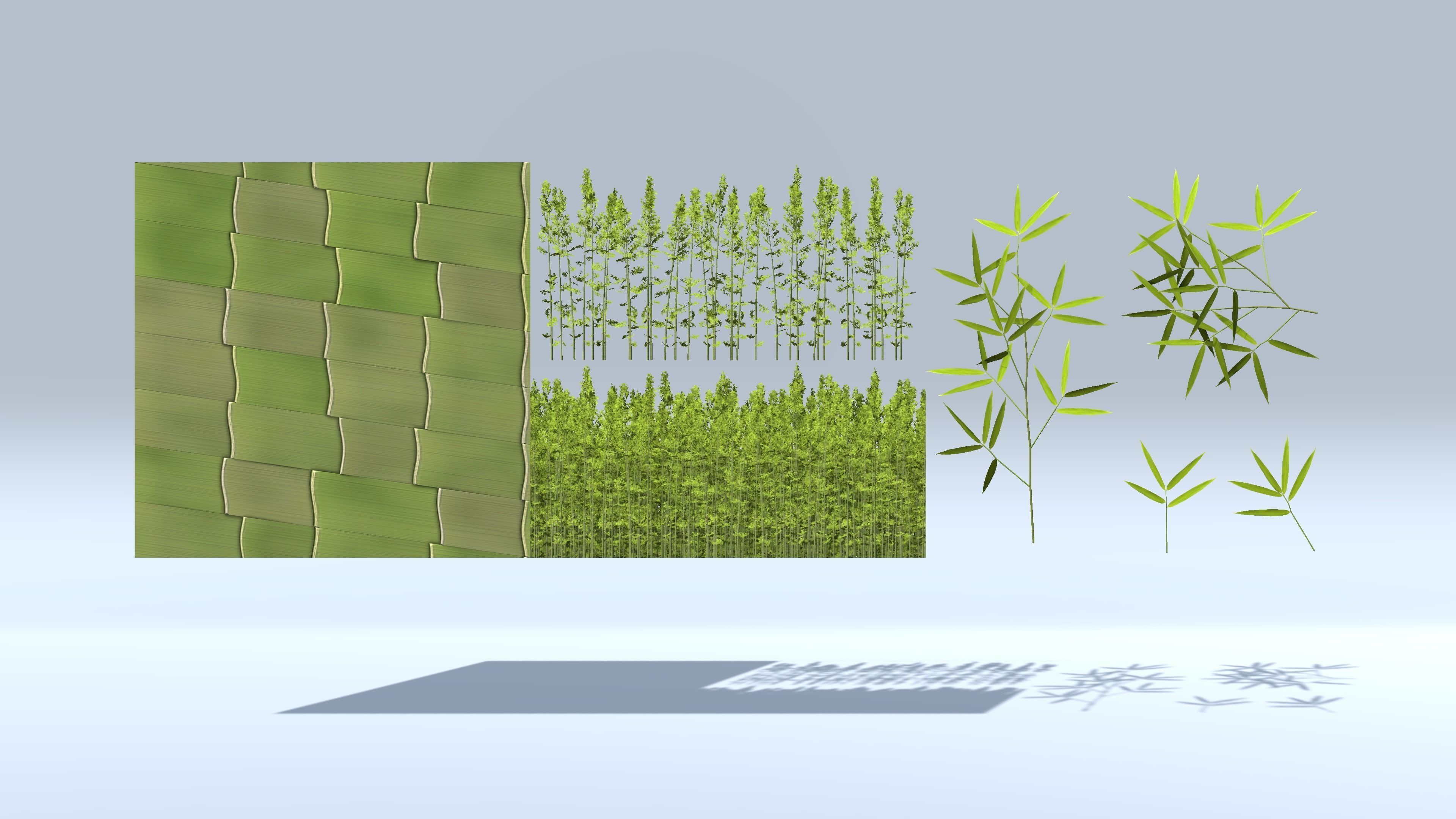 Bamboo Groups Low-poly 3D model_6