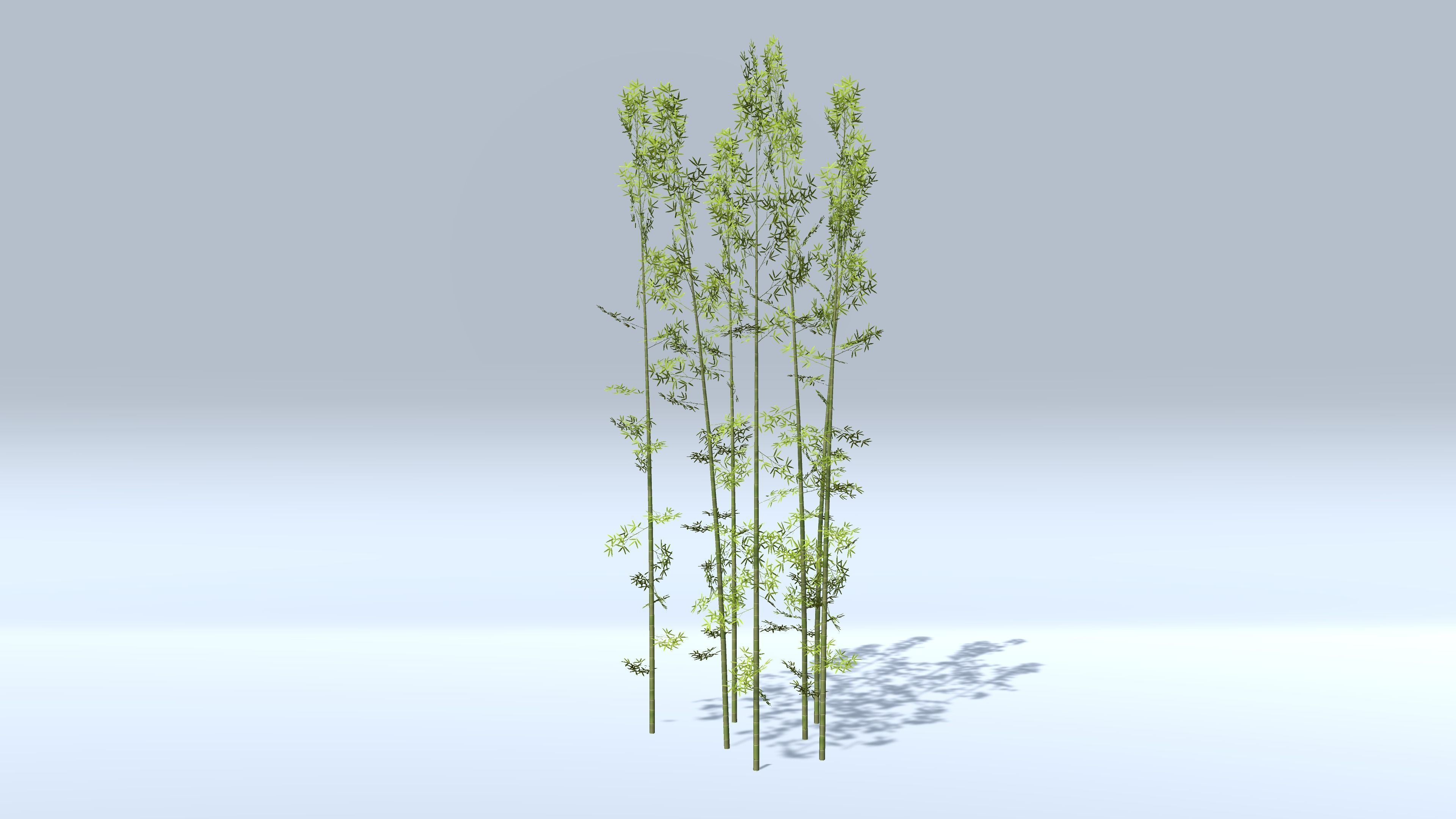 Bamboo Groups Low-poly 3D model_1