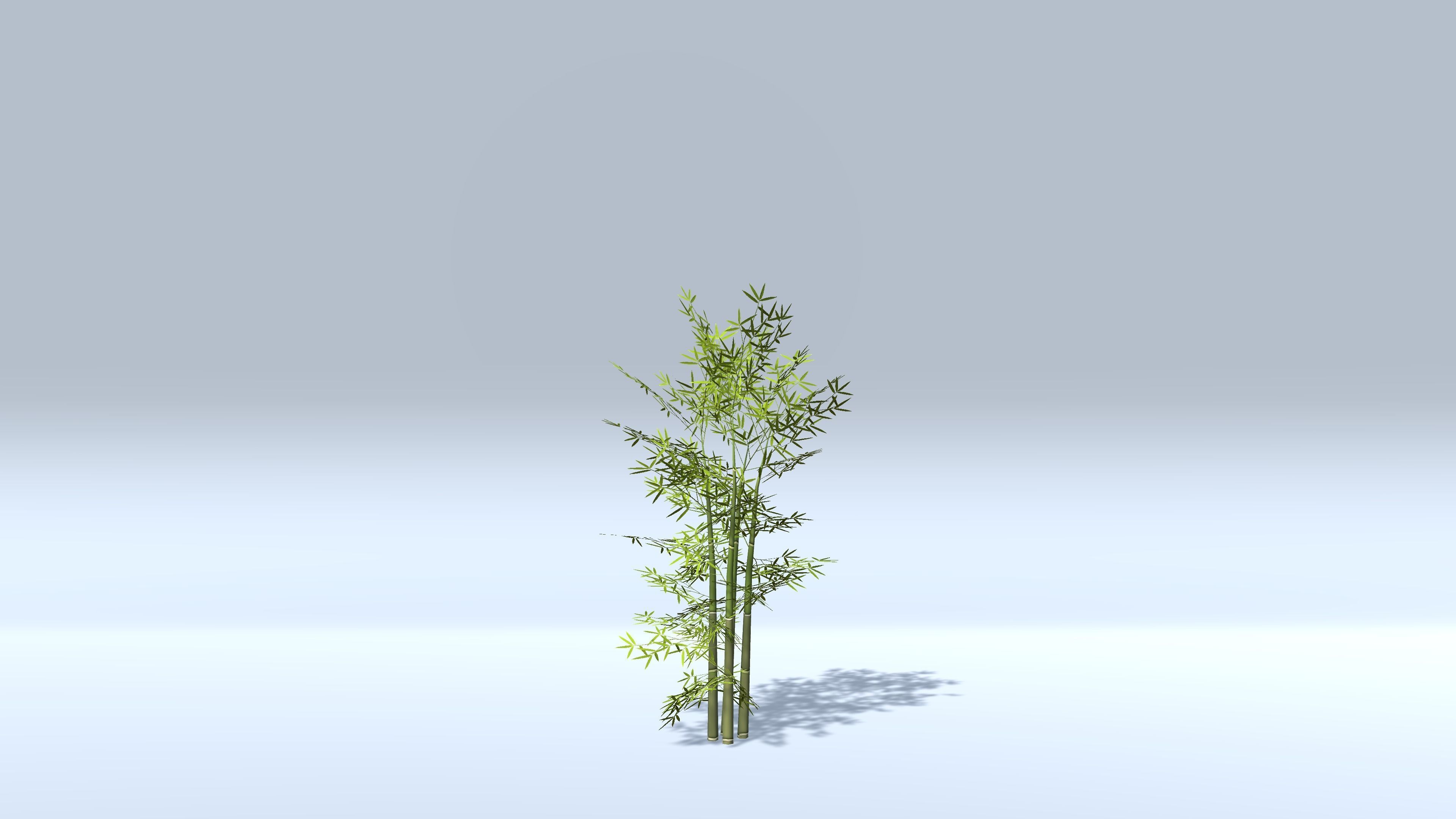 Bamboo Groups Low-poly 3D model_4