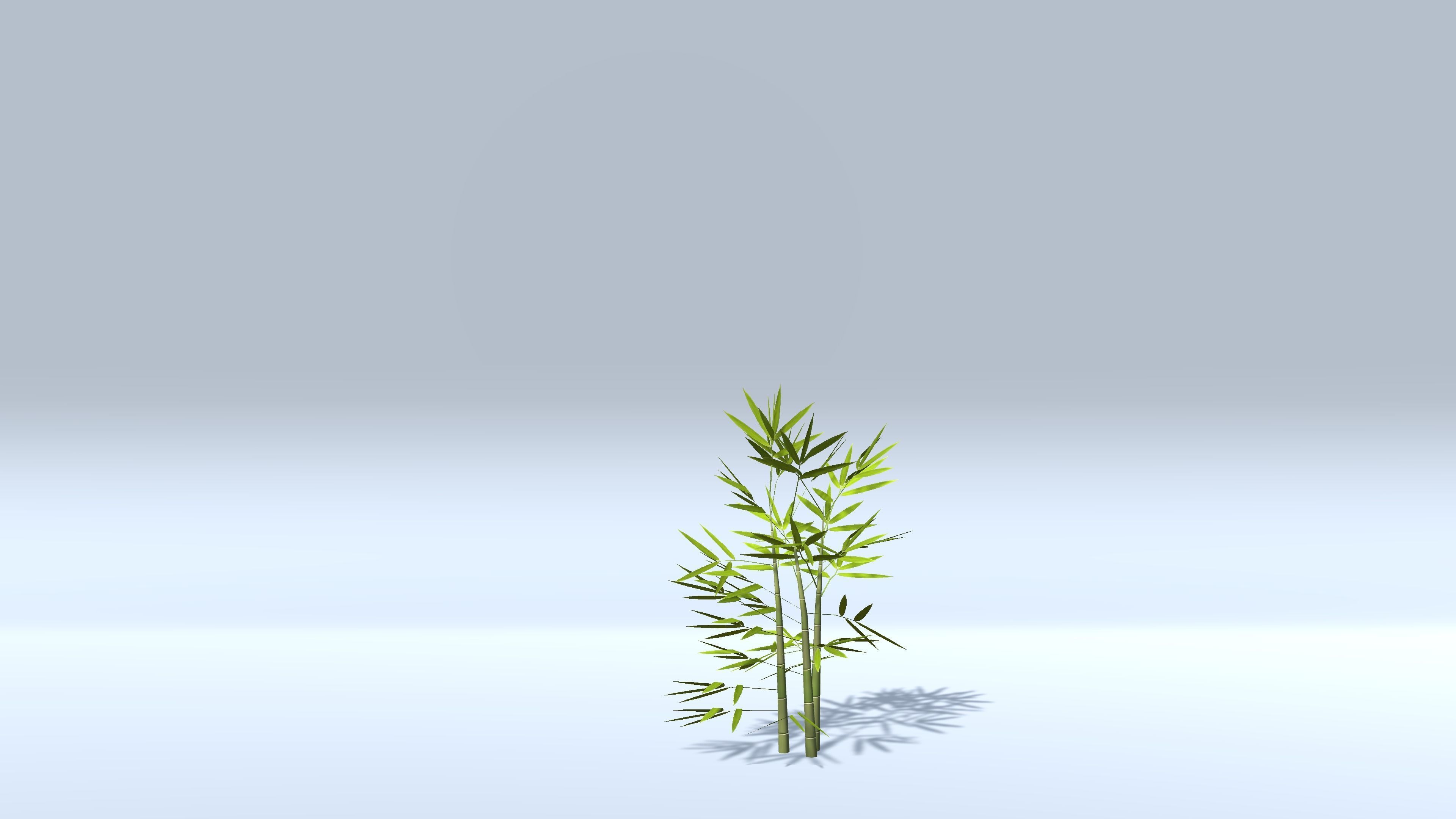 Bamboo Groups Low-poly 3D model_5
