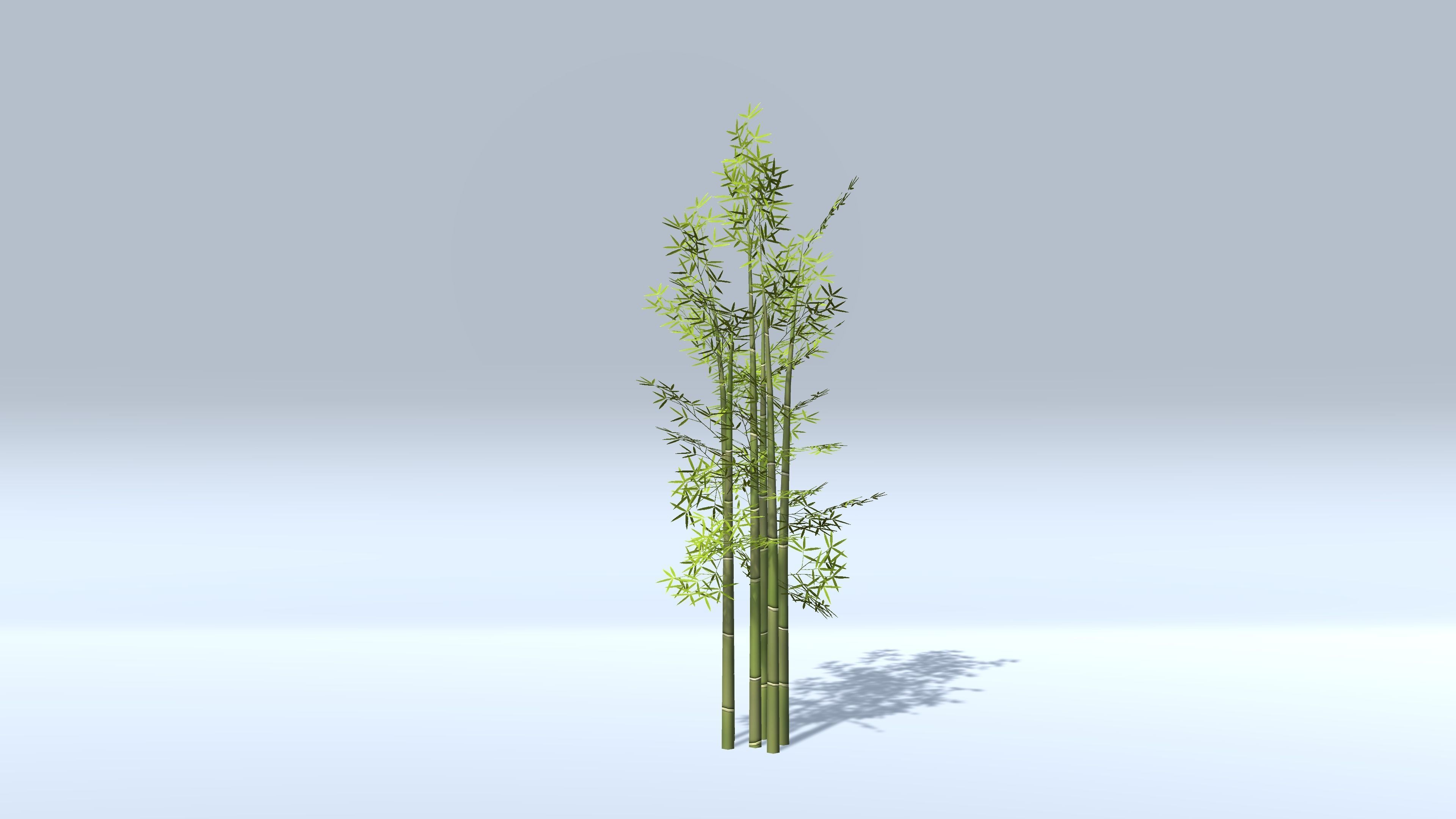 Bamboo Groups Low-poly 3D model_3