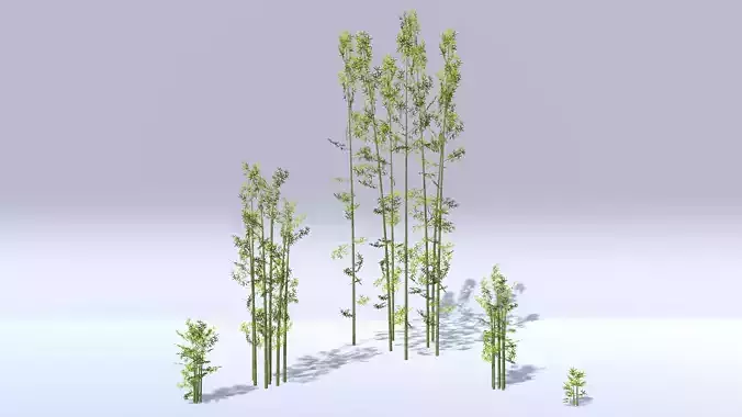 Bamboo Groups Low-poly 3D model