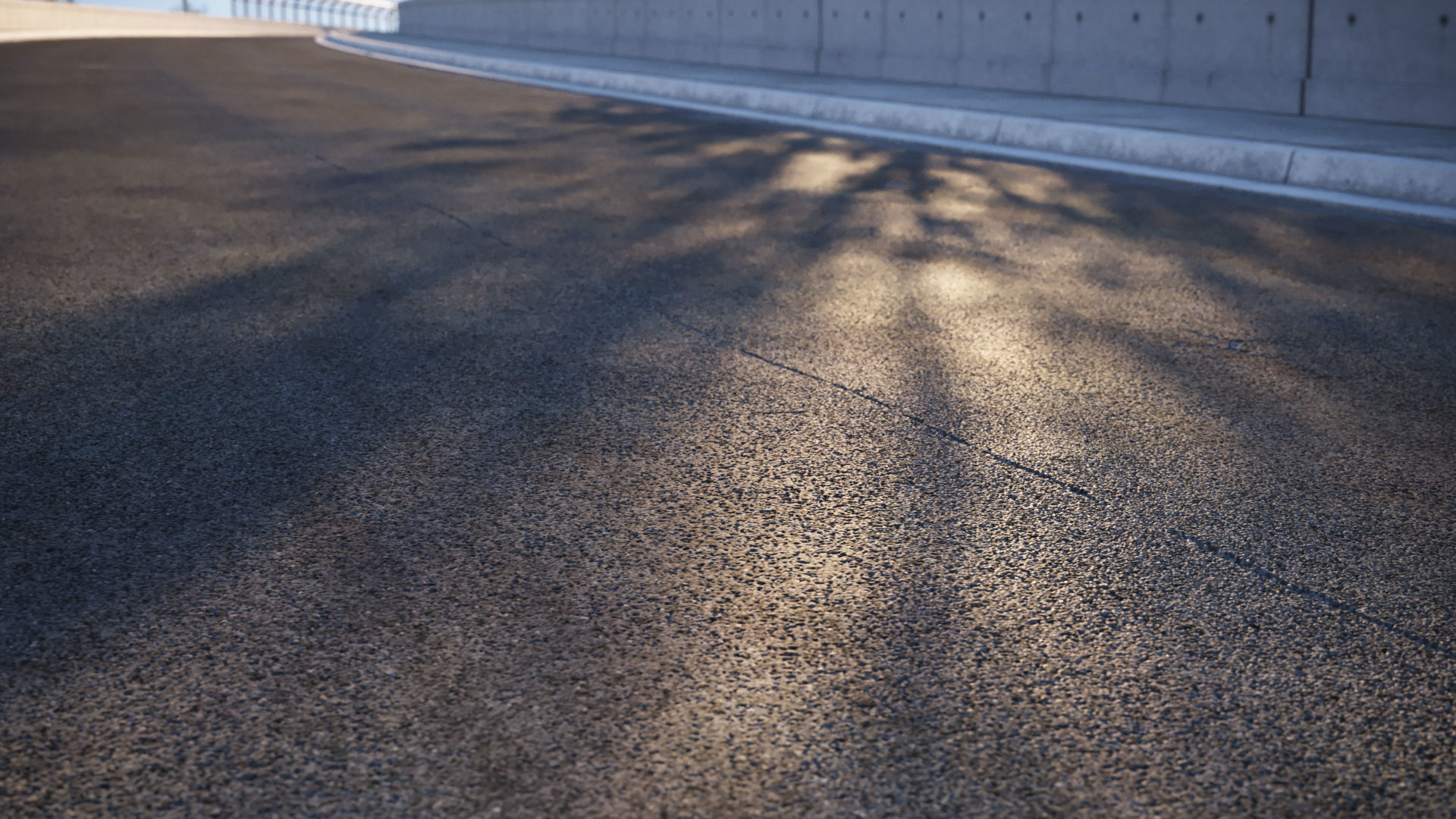 Natural looking asphalt road texture Texture_1