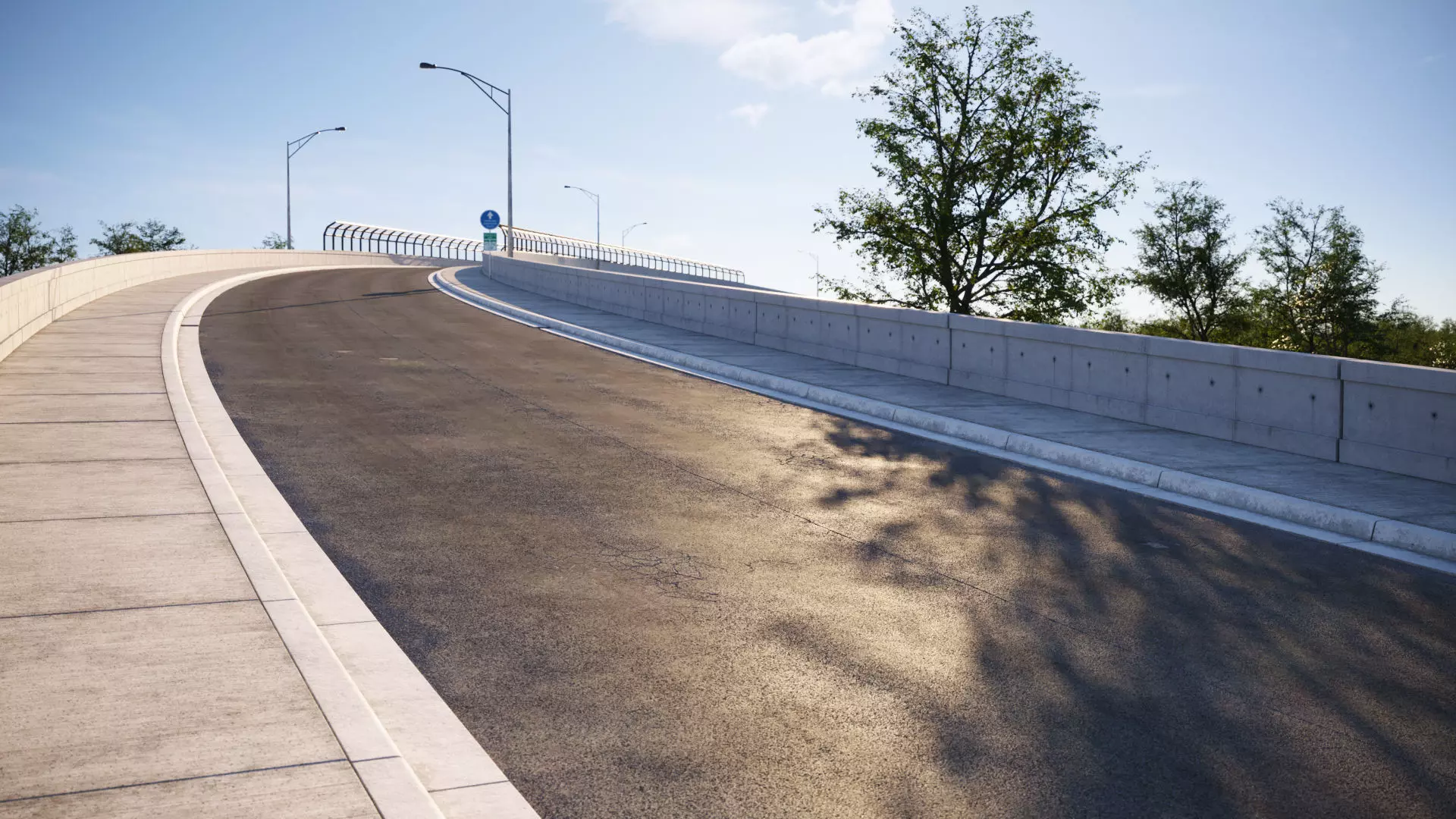 Natural looking asphalt road texture Texture_0