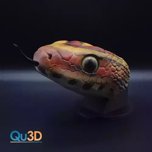 Corn Snake Head Pantherophis guttatus-High-end 3D print model 3D print model
