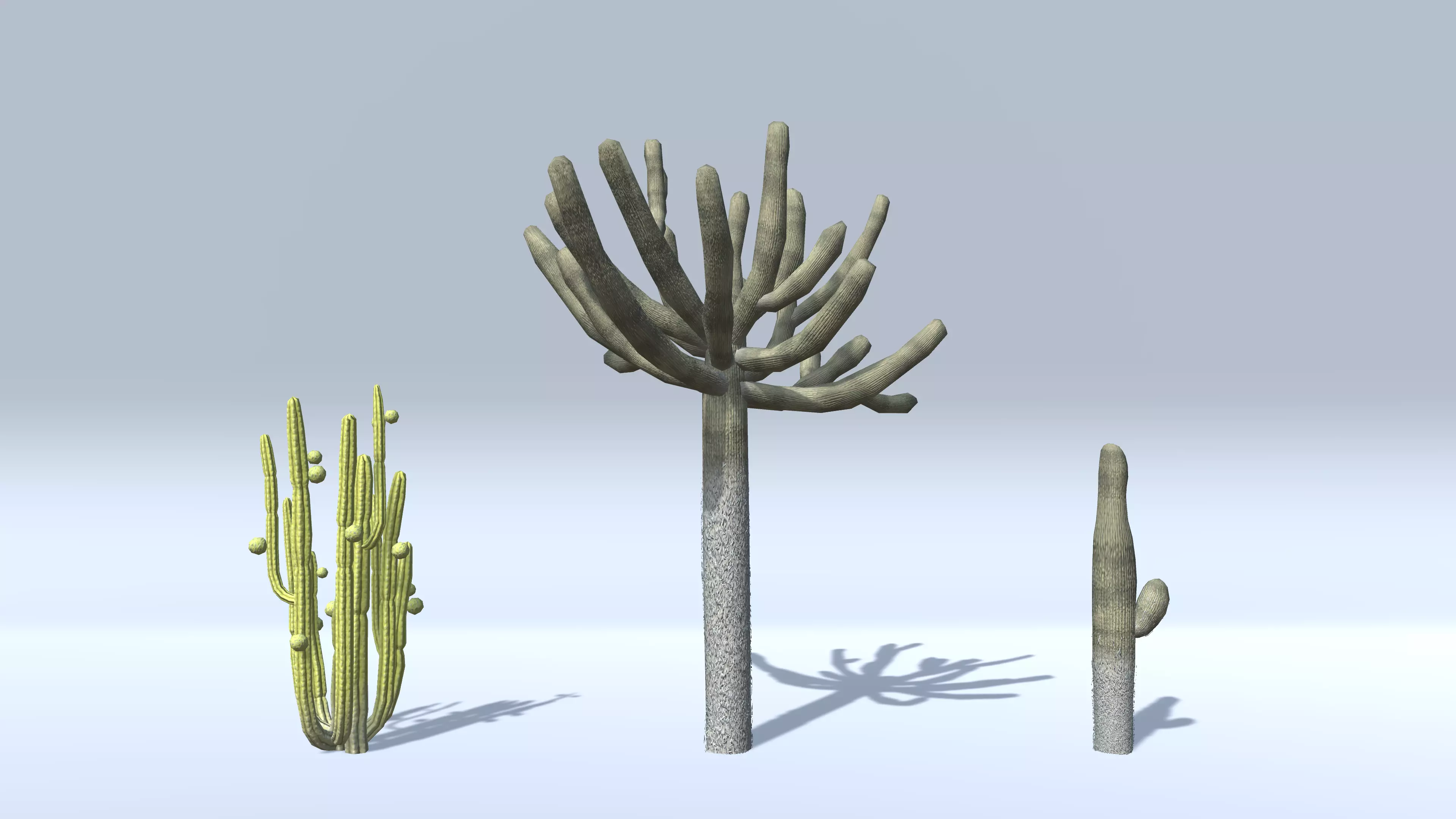 Cactuses three cactus plants Low-poly 3D model