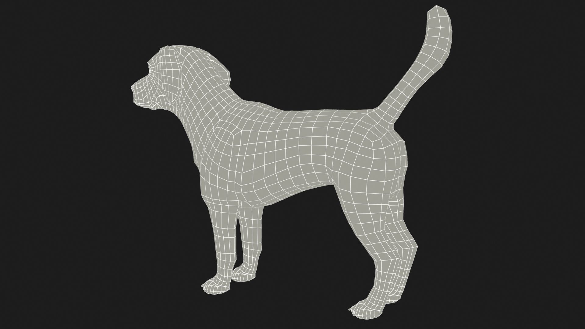 Beagle dog Low-poly 3D model_15