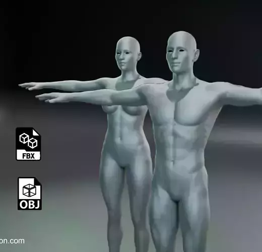 Base Human Body Character 