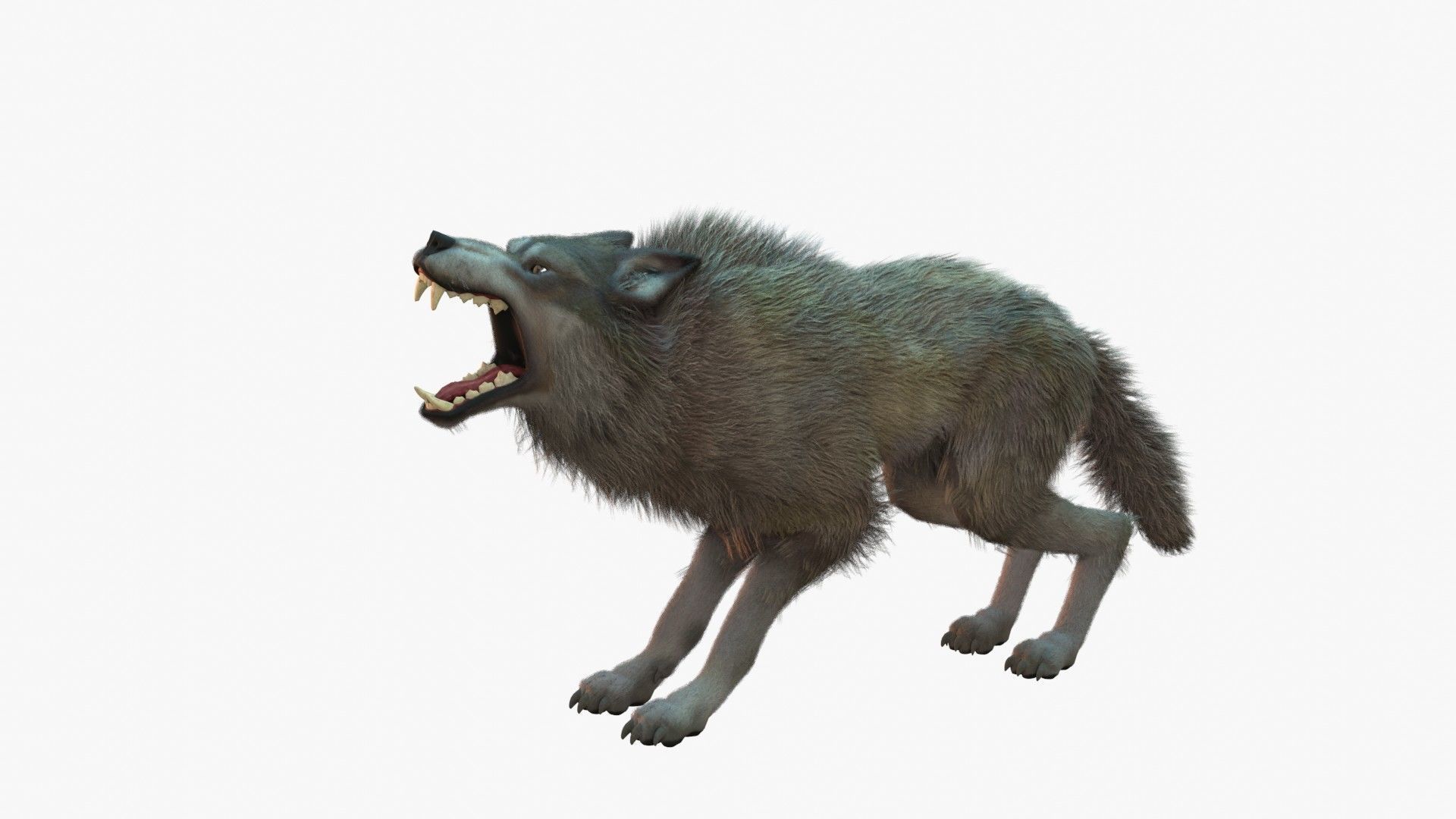 Wolf Rigged 3D model_26