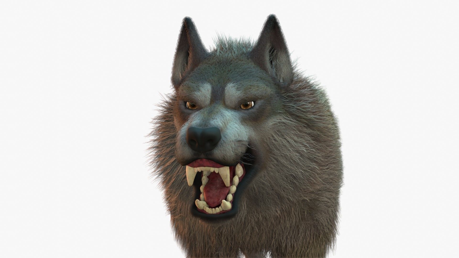 Wolf Rigged 3D model_13