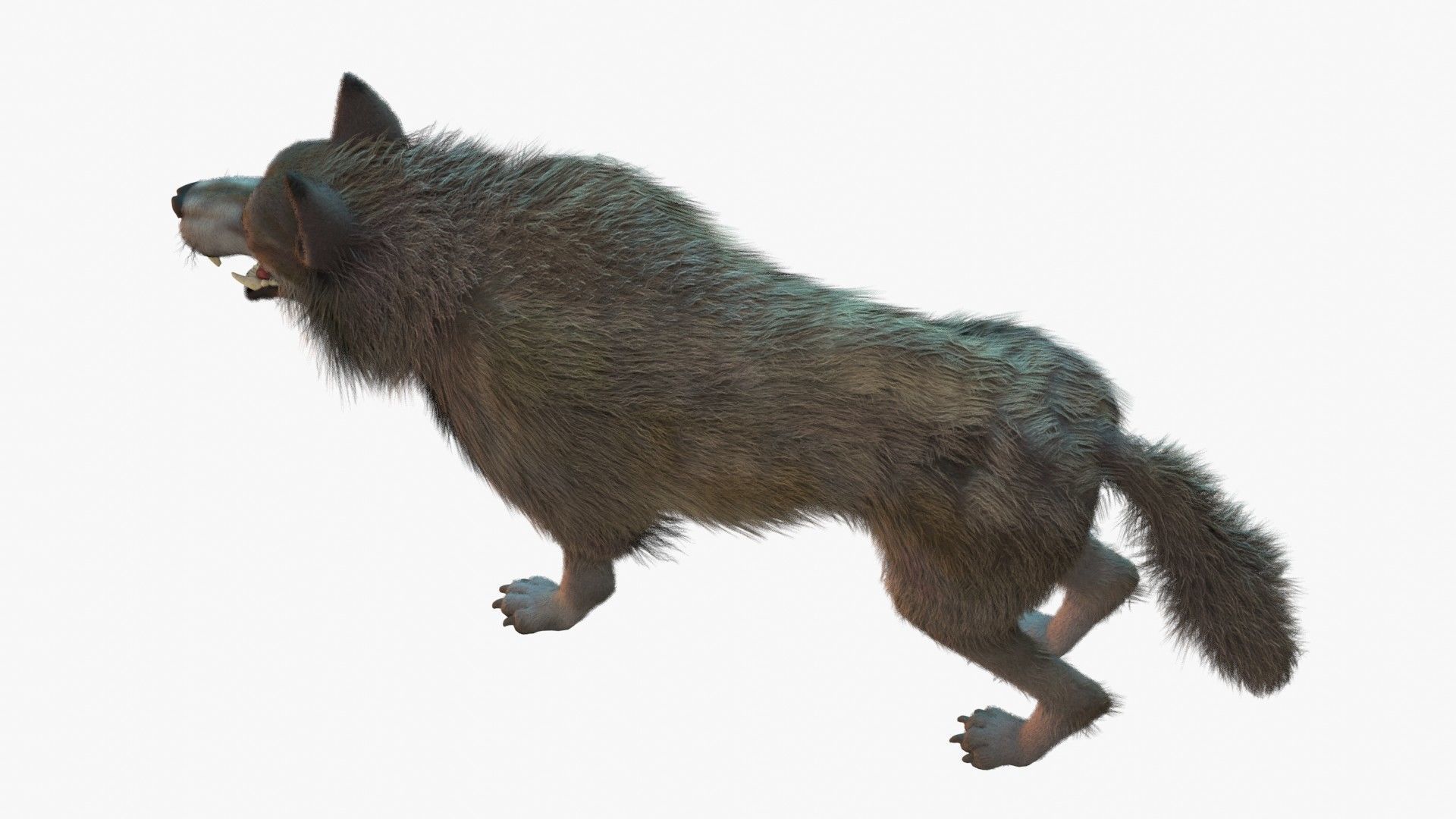 Wolf Rigged 3D model_12